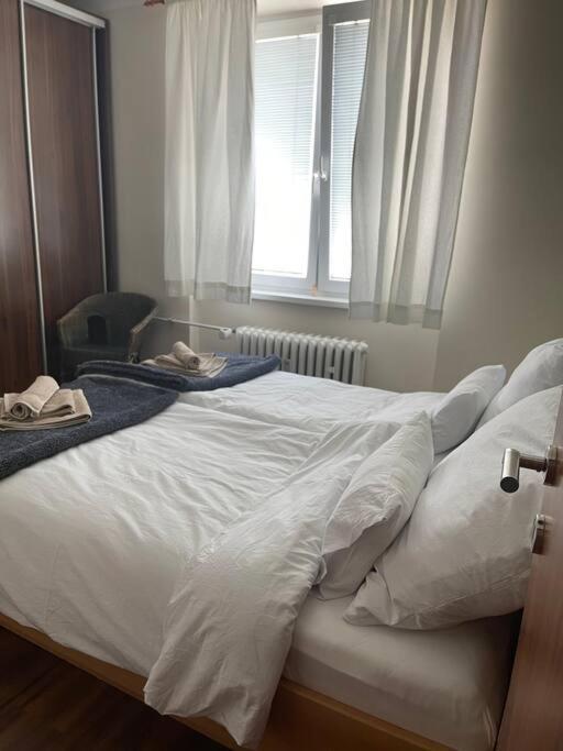Priestranny 3 Izb. Apartman V Centre S Parkovanim. Banská Bystrica Exterior photo
